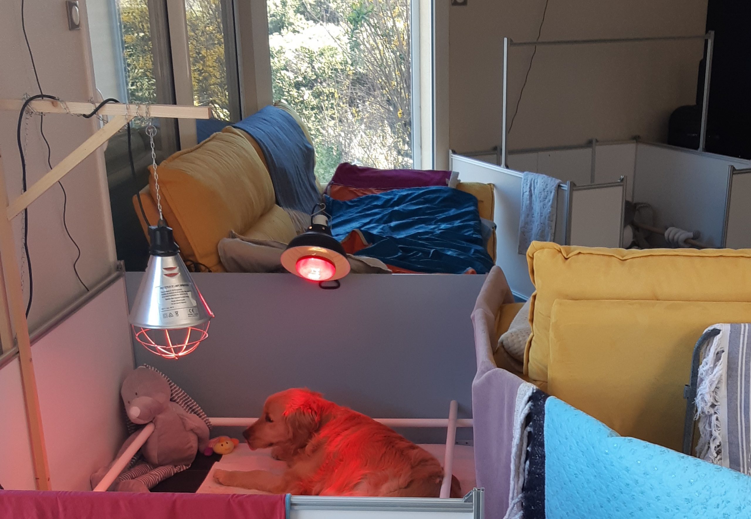 Le parc de naissance dans notre salon